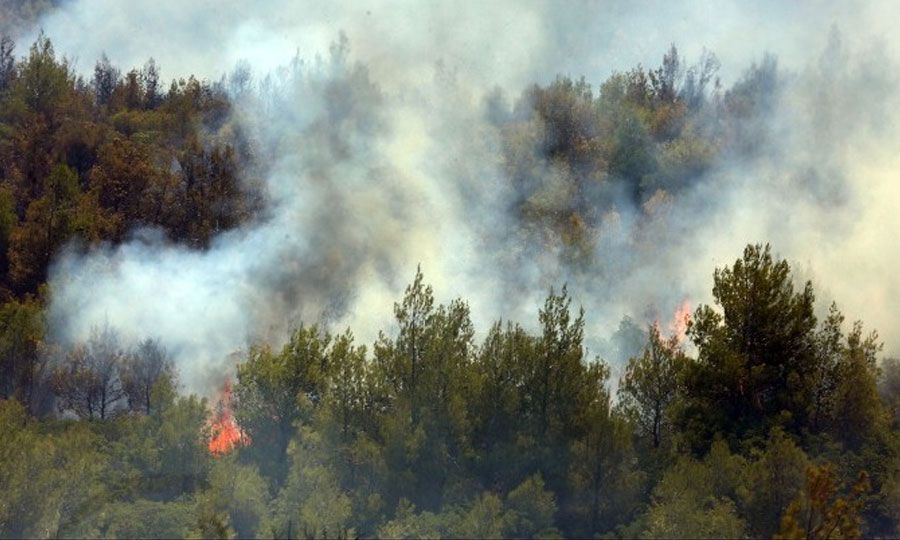 Φωτιά στα Βίλια: Μάχη με τις φλόγες και τις εναλλαγές των ανέμων - Vimarsana News