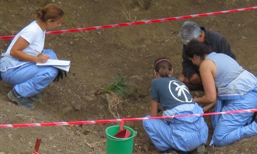 Σε αυτές τις περιπτώσεις η εκταφή χρειάζεται μεγάλη προσοχή και υπομονή. Έτσι σε διάστημα λιγότερο από ένα μήνα, τα πρώτα ευρήματα ήταν ήδη στα χέρια των επιστημόνων. 