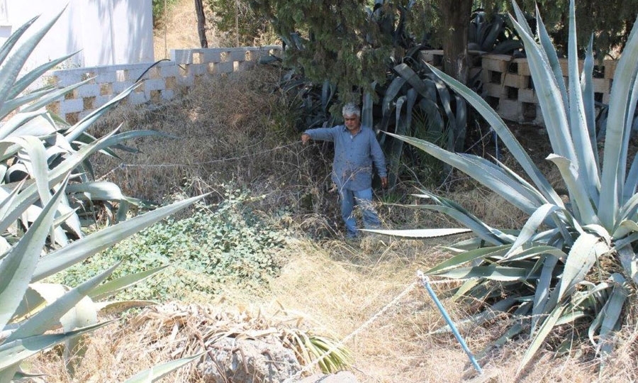 Ο επικεφαλής της εκταφής Ξενοφών Καλλής εκεί που ήταν κάποτε το νοσοκομείο Παχυάμμου στις 9 Οκτωβρίου, πριν αρχίσει το καθάρισμα του χώρου.