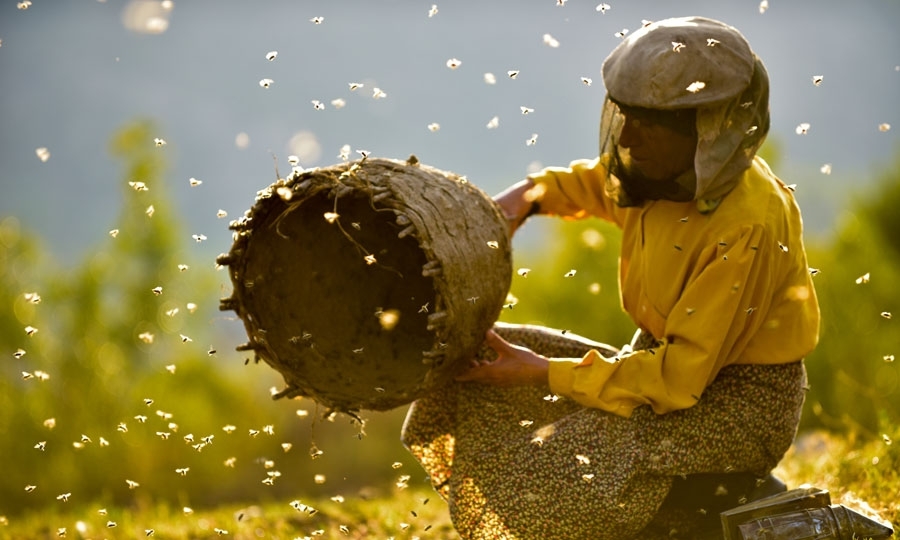 «Honeyland» των Tamara Kotevska και Ljubomir Stefanov από τη Βόρεια Μακεδονία.