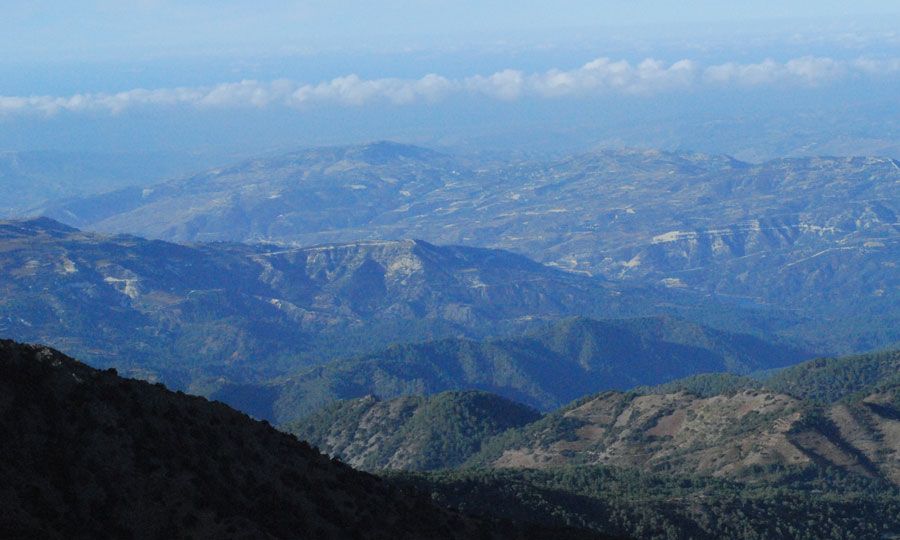 Frederick - Συμβάλλει στην αποκατάσταση των οικοσυστημάτων, που είναι στο επίκεντρο της φετινής Παγκόσμιας Ημέρας Περιβάλλοντος - Vimarsana News