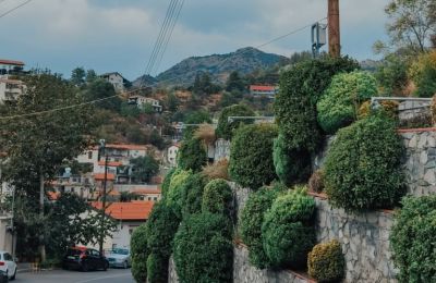 Ο Αγρός είναι χτισμένος σε υψόμετρων 1000 μέτρων, ανήκει στη γεωγραφική περιφέρεια της Πιτσιλιάς και πλέον είναι από τα δημοφιλέστερα χωριά της Κύπρου