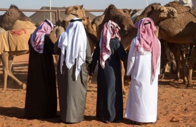 Σαουδική Αραβία: 43 καμήλες εκτός διαγωνισμού ομορφιάς γιατί είχαν υποβληθεί σε… μπότοξ