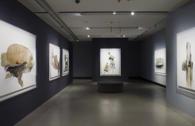 Η συλλογή φιλοξενείται στον χώρο περιοδικών εκθέσεων του μουσείου και παρουσιάζει 28 έργα μεγάλων διαστάσεων του καλλιτέχνη. (© Χριστοφορος Δουλγερης)