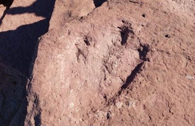 Ουαλία: Tα ίχνη δεινόσαυρου που έζησε πριν από 200 και πλέον εκατ. χρόνια ανακαλύφθηκαν σε παραλία