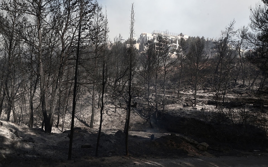 Η εικόνα μετά το πέρασμα της φωτιάς στην Άνω Γλυφάδα. 