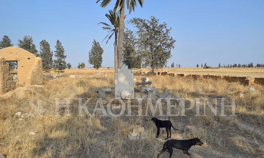 Περνάω την πέτρινη πύλη, τα σκυλιά σπεύδουν στη σκιά του κυπαρισσιού, δεν μου γαυγίζουν καν. Όλα είναι ήσυχα.