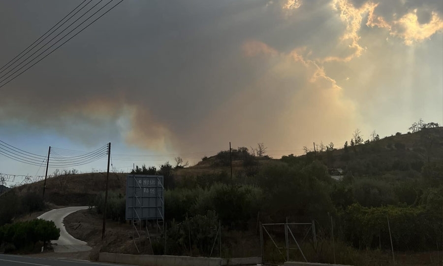 Καιρόφιλοι Κύπρου. 