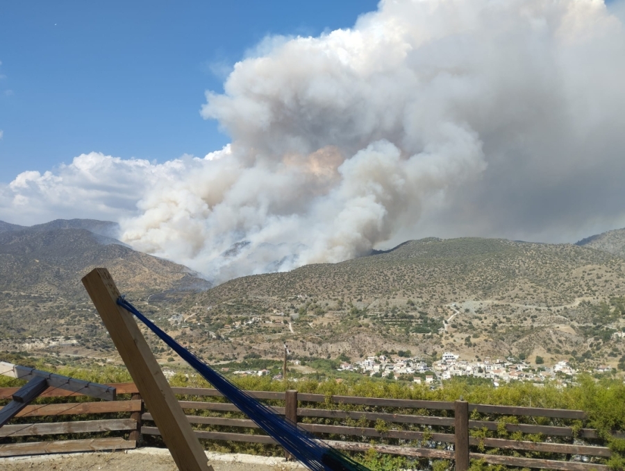 Καιρόφιλοι Κύπρου. 