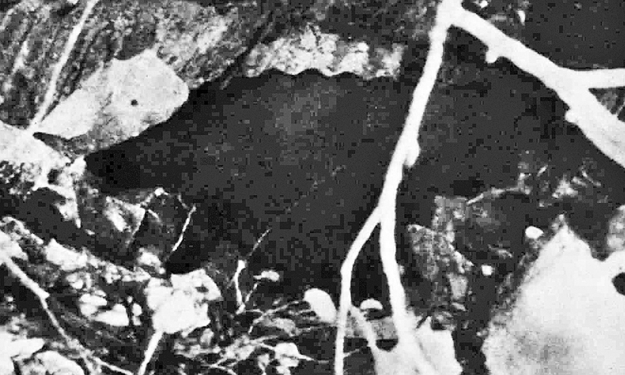 Η είσοδος του κρησφύγετου του Γρηγορίου Αυξεντίου στο Μαχαιρά.