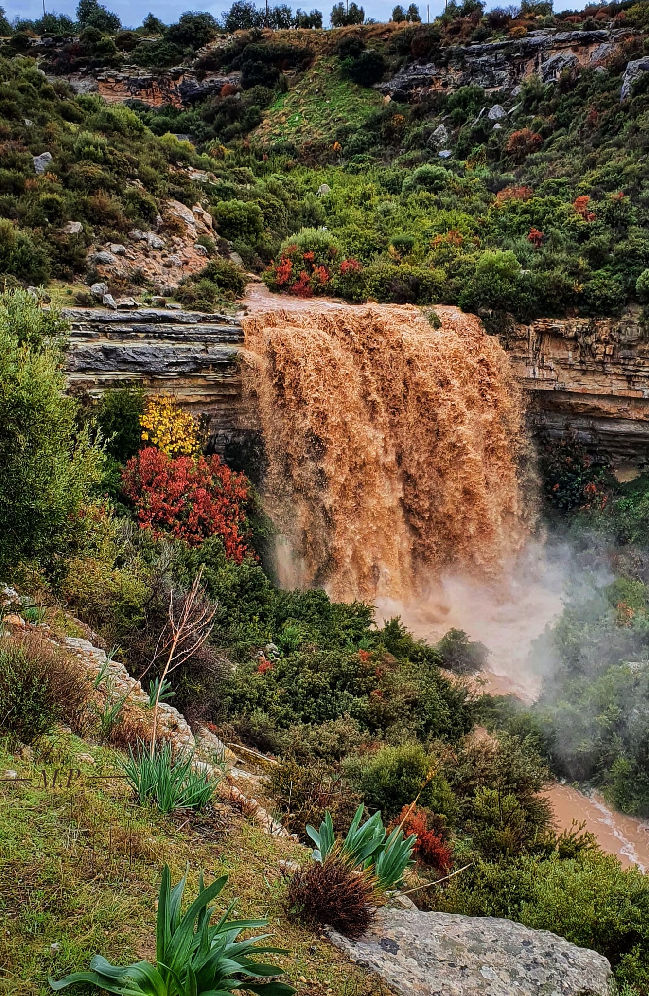 Photo By Magdalena Pourgouride On Facebook