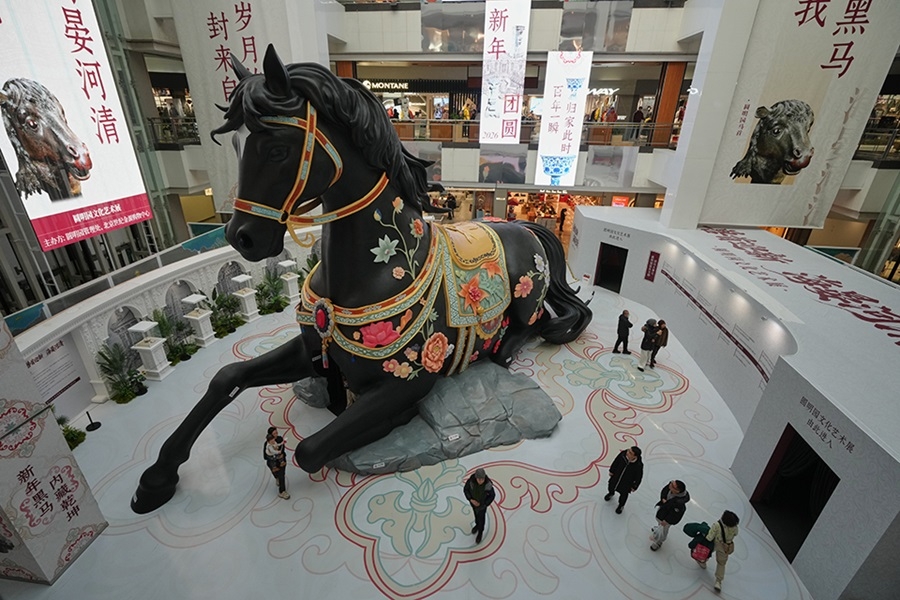 Η χρονιά του αλόγου