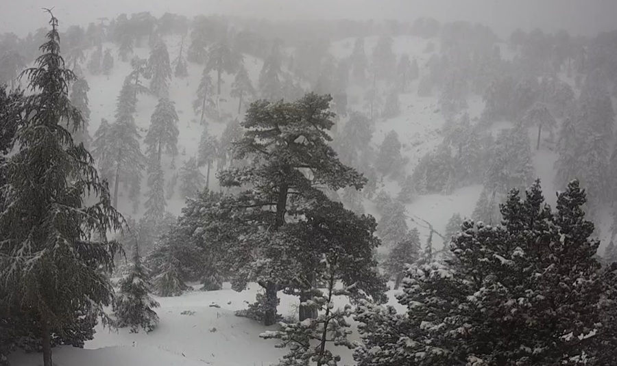 Λευκή μαγεία στο Τρόοδος