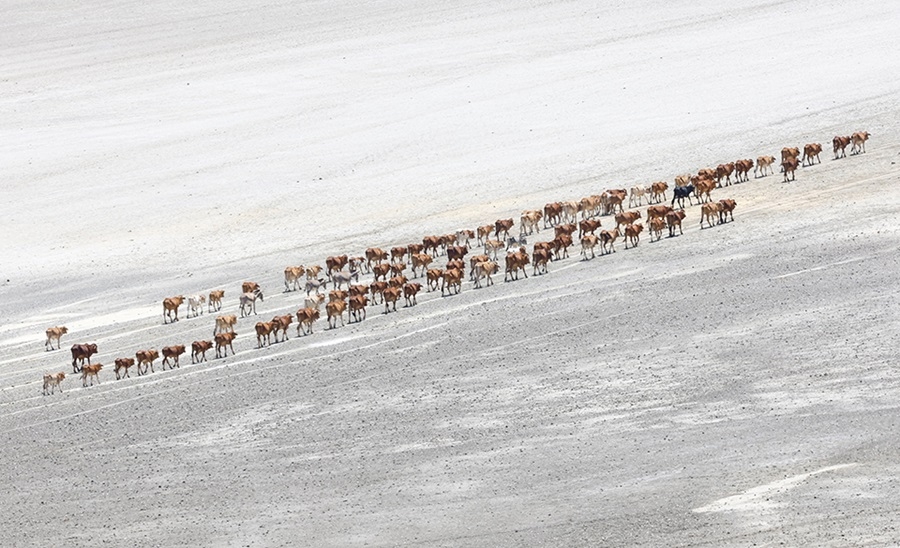 Η ξηρασία θα φέρει λιμό…